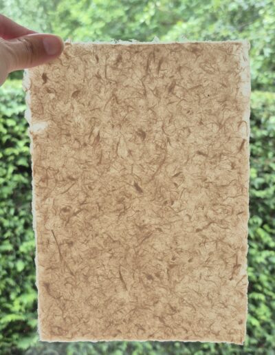 Geschept papier van gampi
